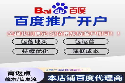 成功运用SEM服务实现品牌快速成长的案例
